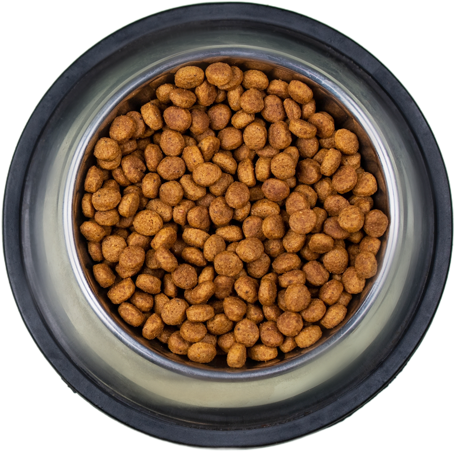 Most people are told their dog’s itching or skin flare-ups come from one thing!