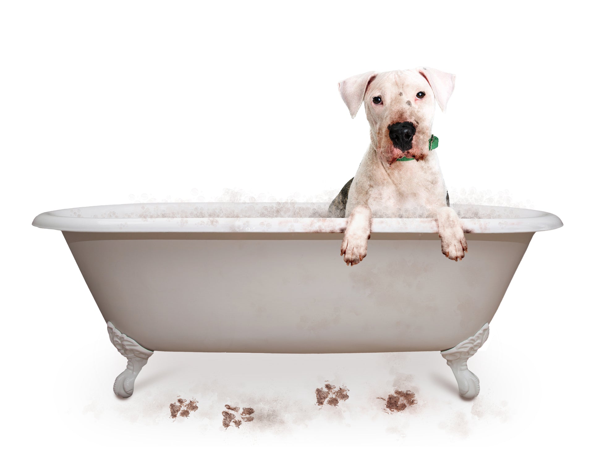 Why Monthly Washing is Essential